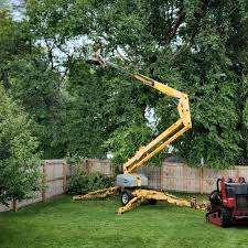 Mathis, TX Tree Removal Company